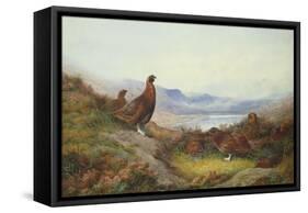Morning of the Twelfth-Archibald Thorburn-Framed Stretched Canvas