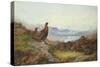 Morning of the Twelfth-Archibald Thorburn-Stretched Canvas