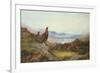 Morning of the Twelfth-Archibald Thorburn-Framed Giclee Print