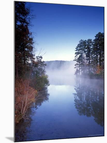 Morning on a Quiet Lake, Arkansas, USA-Gayle Harper-Mounted Photographic Print