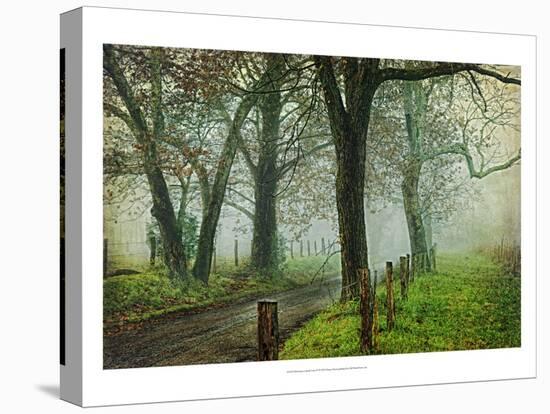 Morning on Sparks Lane IV-Danny Head-Stretched Canvas