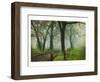 Morning on Sparks Lane IV-Danny Head-Framed Art Print