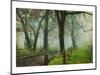 Morning on Sparks Lane IV-Danny Head-Mounted Art Print