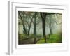 Morning on Sparks Lane IV-Danny Head-Framed Art Print