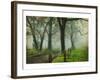 Morning on Sparks Lane IV-Danny Head-Framed Art Print