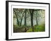 Morning on Sparks Lane IV-Danny Head-Framed Art Print