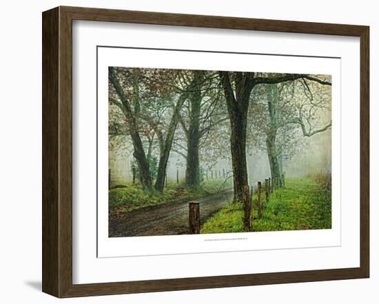 Morning on Sparks Lane IV-Danny Head-Framed Art Print