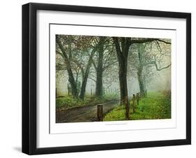 Morning on Sparks Lane IV-Danny Head-Framed Art Print