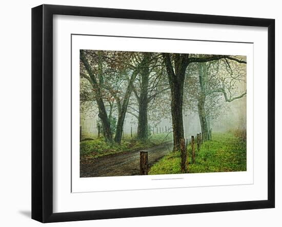 Morning on Sparks Lane IV-Danny Head-Framed Art Print