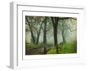 Morning on Sparks Lane IV-Danny Head-Framed Art Print