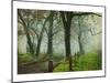 Morning on Sparks Lane IV-Danny Head-Mounted Art Print