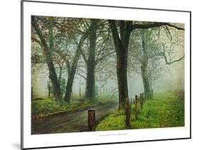 Morning on Sparks Lane IV-Danny Head-Mounted Art Print