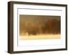 Morning on Spring Creek-Danny Head-Framed Art Print