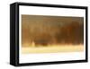 Morning on Spring Creek-Danny Head-Framed Stretched Canvas