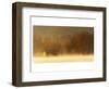 Morning on Spring Creek-Danny Head-Framed Art Print