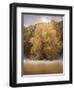 Morning on the Battlefield-Jai Johnson-Framed Giclee Print