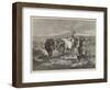 Morning on the Moors-George Bouverie Goddard-Framed Giclee Print