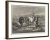 Morning on the Moors-George Bouverie Goddard-Framed Giclee Print