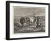 Morning on the Moors-George Bouverie Goddard-Framed Giclee Print