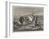 Morning on the Moors-George Bouverie Goddard-Framed Giclee Print