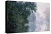 Morning on the Seine, Effect of Mist; Matinee Sur La Seine, Effet De Brume, 1897-Claude Monet-Stretched Canvas