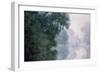 Morning on the Seine, Effect of Mist-Claude Monet-Framed Premium Giclee Print