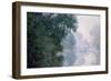 Morning on the Seine, Effect of Mist-Claude Monet-Framed Giclee Print