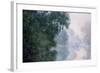 Morning on the Seine, Effect of Mist-Claude Monet-Framed Giclee Print