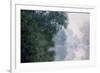 Morning on the Seine, Effect of Mist-Claude Monet-Framed Premium Giclee Print