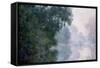 Morning on the Seine, Effect of Mist-Claude Monet-Framed Stretched Canvas