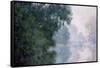 Morning on the Seine, Effect of Mist-Claude Monet-Framed Stretched Canvas