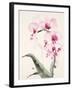 Morning Orchid 1-Karin Johannesson-Framed Art Print