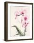 Morning Orchid 1-Karin Johannesson-Framed Art Print