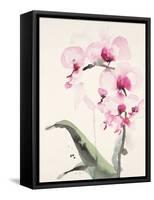 Morning Orchid 1-Karin Johannesson-Framed Stretched Canvas