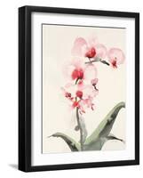 Morning Orchid 2-Karin Johannesson-Framed Art Print