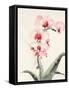 Morning Orchid 2-Karin Johannesson-Framed Stretched Canvas