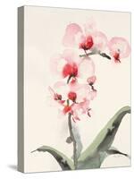 Morning Orchid 2-Karin Johannesson-Stretched Canvas