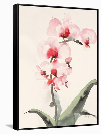 Morning Orchid 2-Karin Johannesson-Framed Stretched Canvas