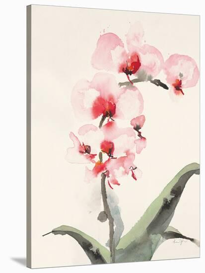 Morning Orchid 2-Karin Johannesson-Stretched Canvas