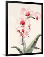 Morning Orchid 2-Karin Johannesson-Framed Art Print