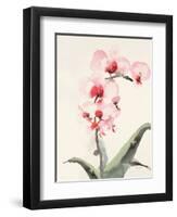 Morning Orchid 2-Karin Johannesson-Framed Art Print