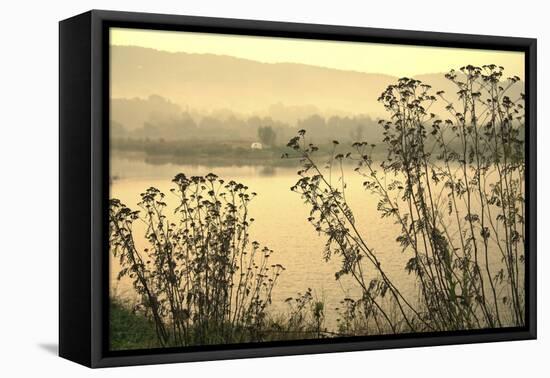 Morning Pastels-Incredi-Framed Stretched Canvas