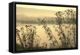 Morning Pastels-Incredi-Framed Stretched Canvas