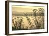 Morning Pastels-Incredi-Framed Giclee Print