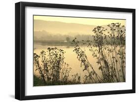 Morning Pastels-Incredi-Framed Giclee Print