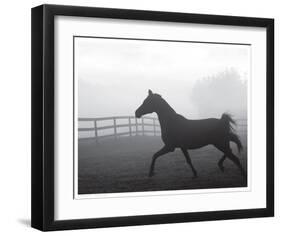 Morning Pasture II-null-Framed Art Print