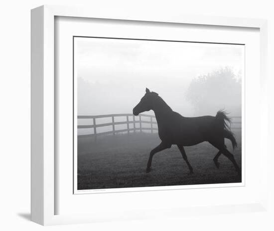 Morning Pasture II-null-Framed Art Print