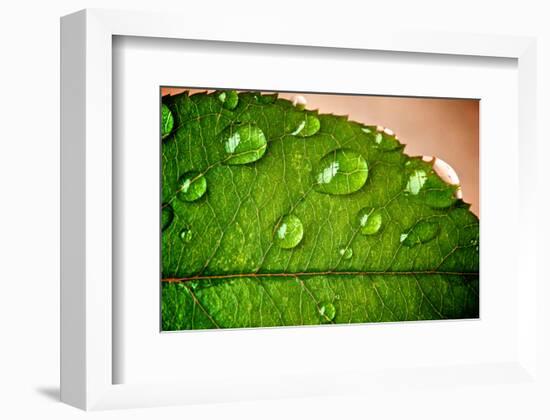 Morning Rain-Doug Nelson-Framed Art Print