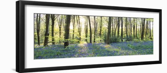 Morning Rays-John Harper-Framed Giclee Print