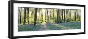 Morning Rays-John Harper-Framed Giclee Print